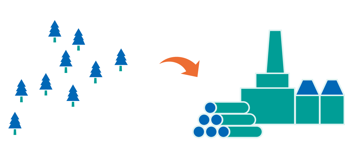 使用する木材について