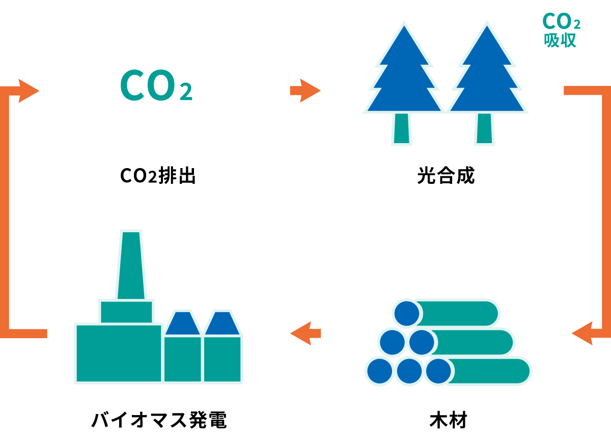 カーボンニュートラルのしくみ