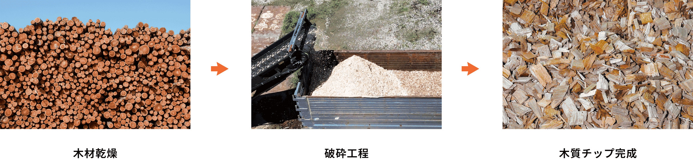 木質チップができるまで