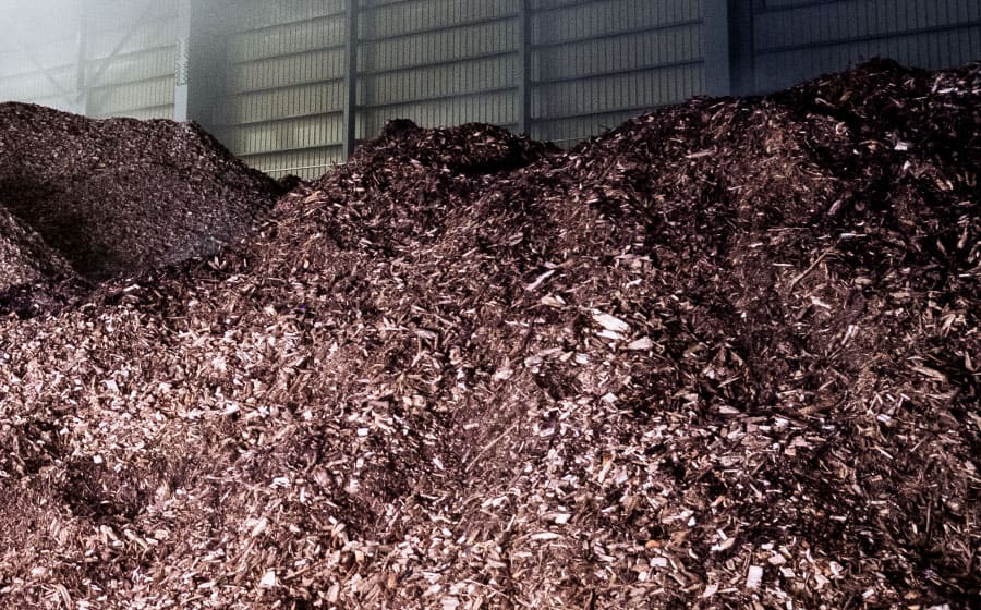 燃料チップ貯蔵棟 